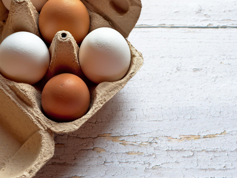 La clave protectora de los huevos está en la cutícula