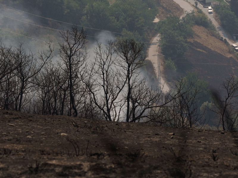 Una zona afectada por los incendios tras la extinción del fuego en el Alto del Acebo