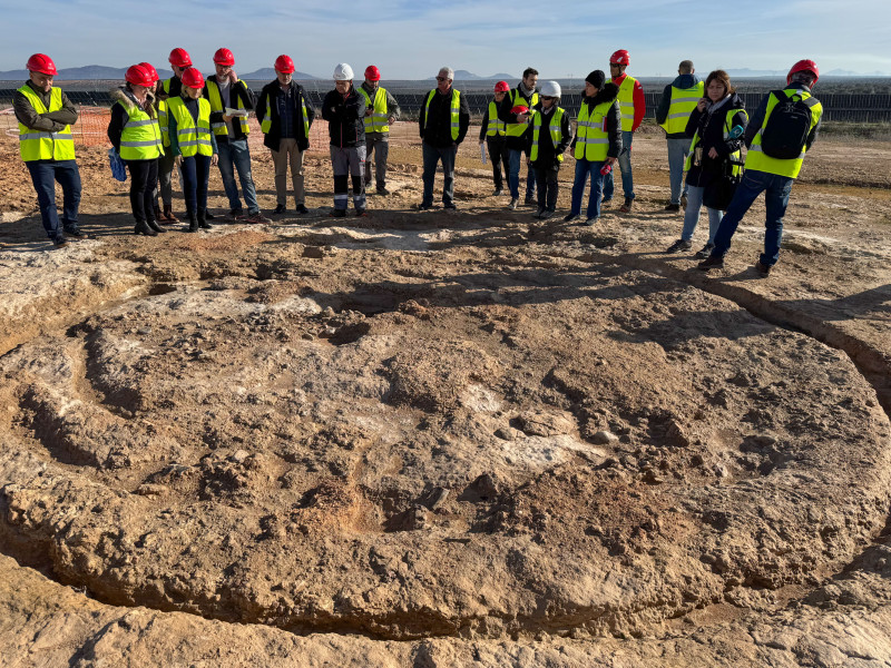 ALMENDRALEJO (BADAJOZ), 14/02/2025.- Rodeado de un mar de paneles solares en el término municipal de Almendralejo (Badajoz) se encuentra uno de los mayores descubrimientos arqueológicos de España en los últimos años: una fortificación de la Edad del Cobre con 5.000 años de antigüedad, el yacimiento Cortijo Lobato, en proceso de excavación para que se convierta en un recurso turístico de Extremadura. En la imagen, la consejera de Cultura de Extremadura, Victoria Bazaga, visita el yacimiento. EFE/Ana Picón