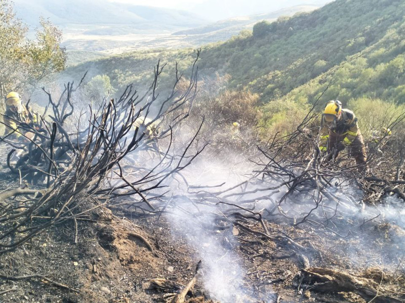 Imagen de los bomberos aragoneses que se han desplazado hasta Castilla y León.