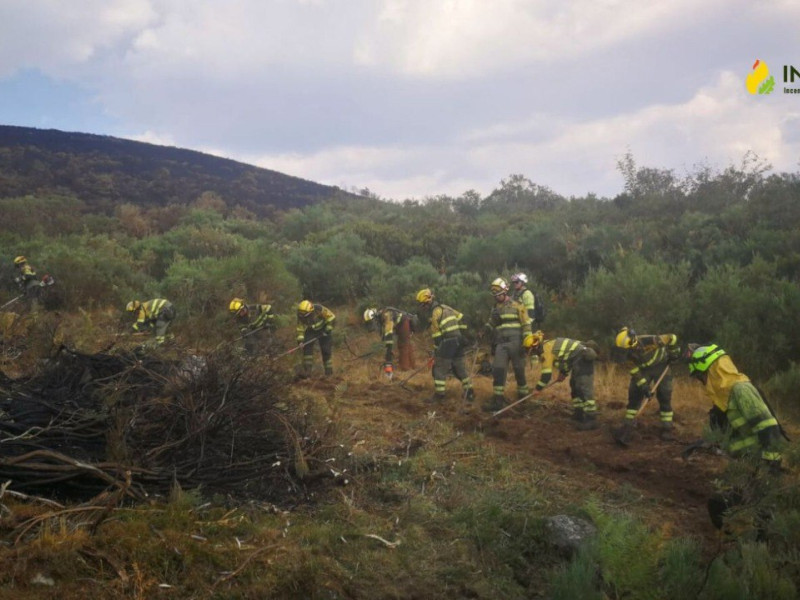 Imagen de los bomberos aragoneses que se han desplazado hasta Castilla y León.