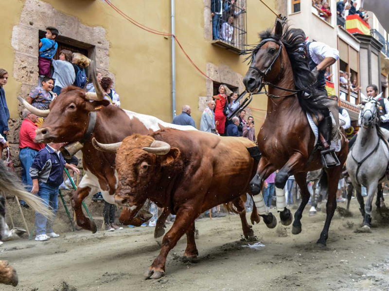 Entrada de Toros y Caballos de Segorbe