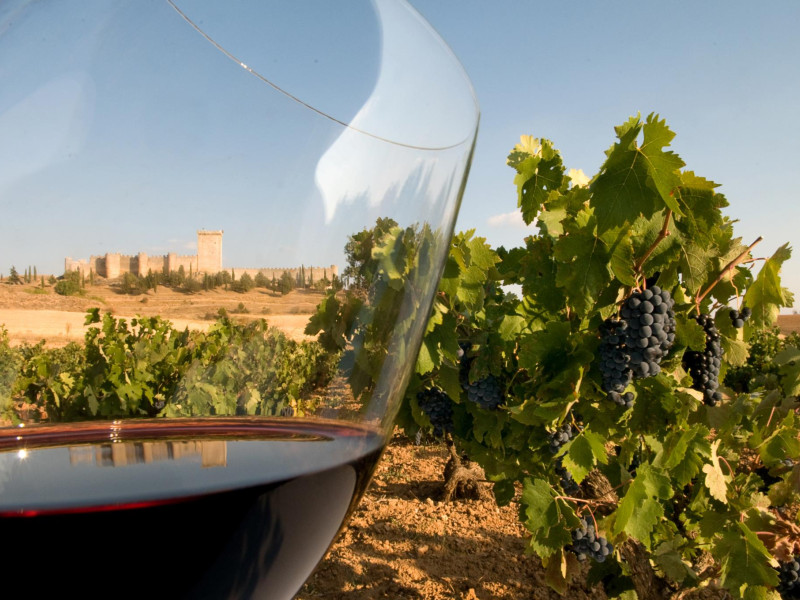 Un postre para la Ribera del Duero: crean un concurso para decidir cuál es el que más identifica a la comarca en Burgos