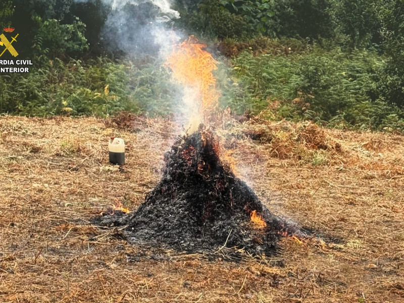 Imagen de la quema de restos forestales no permitida en Cee
