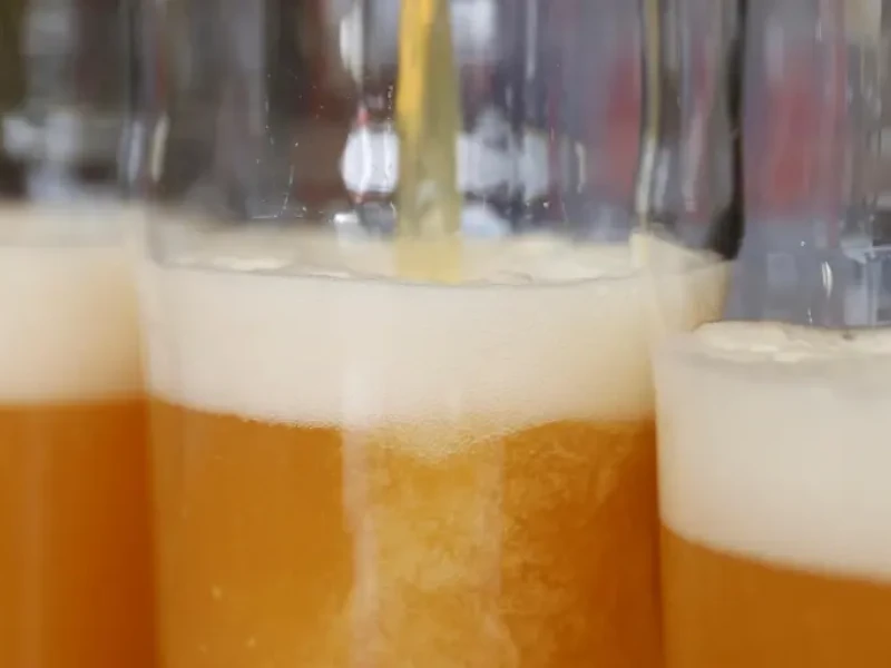 Birragoza está organizado por Cervezas artesanas Lupulus y el Ayuntamiento de Zaragoza.