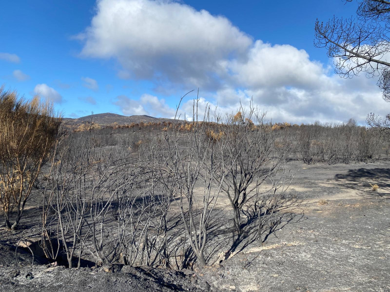 As Estivadas, territorio fantasmagórico arrasado por el incendio de Oímbra (Ourense)