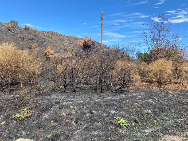 Efectos en Monterrei (Ourense) del incendio de Oímbra