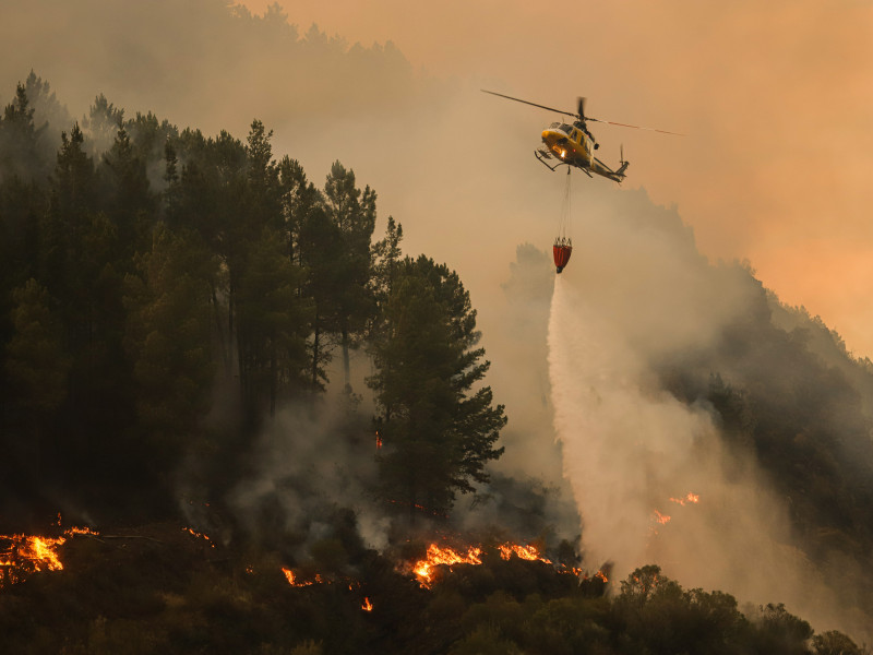 Labores de extinción de un incendio en Galicia