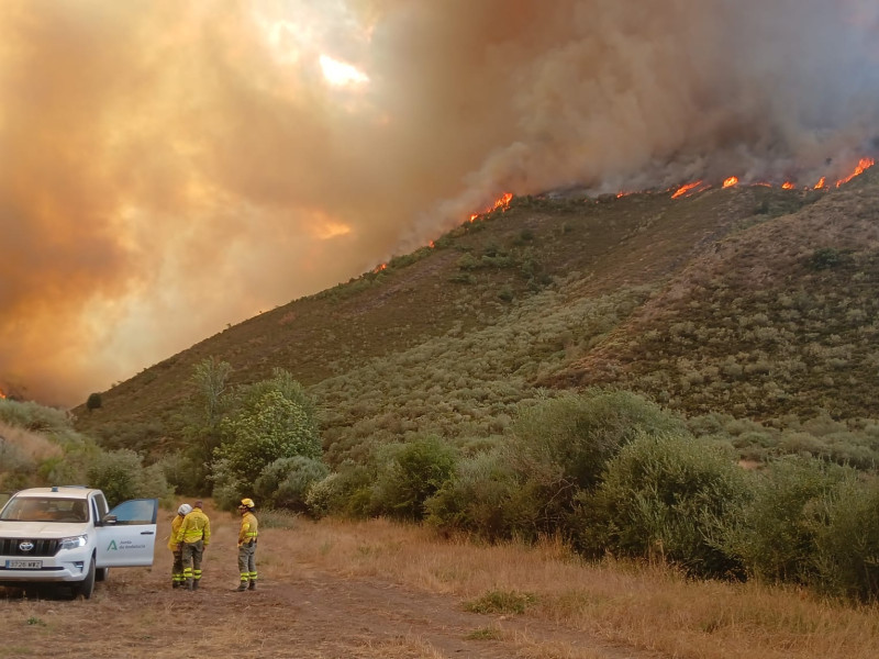 Alivio y cautela en León: sin evacuados tras veinte días de incendios, aunque cinco localidades permanecen confinadas
