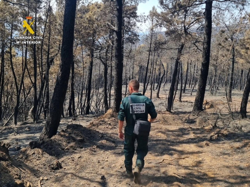La Guardia Civil detiene e investiga a 10 personas por incendios forestales en la provincia de Cáceres