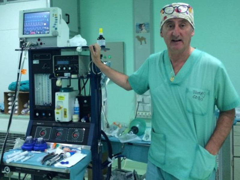 Tomás Cobo, presidente de la Organización Médica Colegial en España