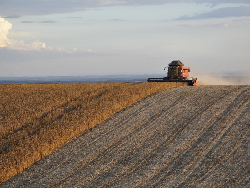 Explotación agrícola