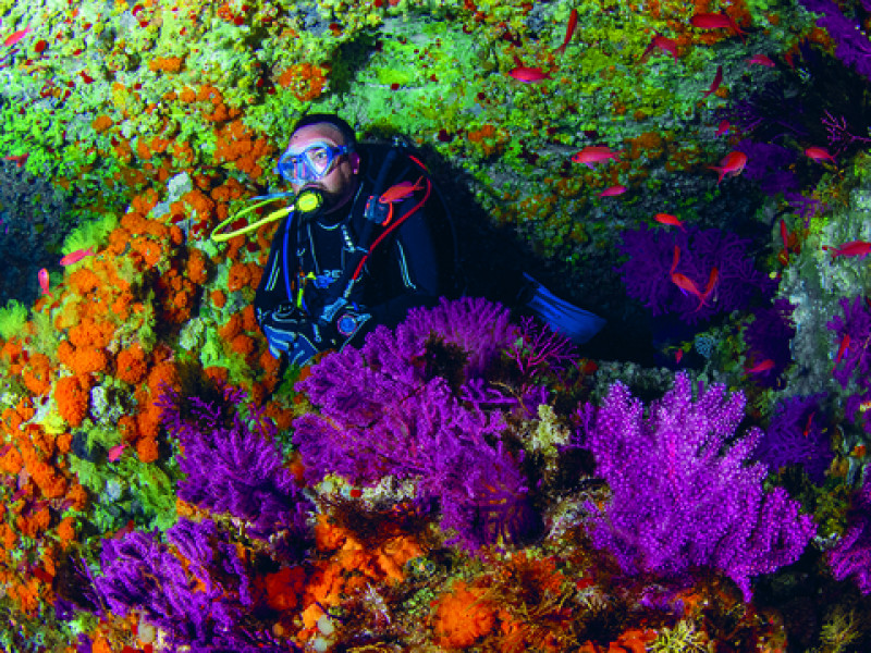 Ceuta se caracteriza por la práctica de actividades acuáticas como Snorkel y submarinismo