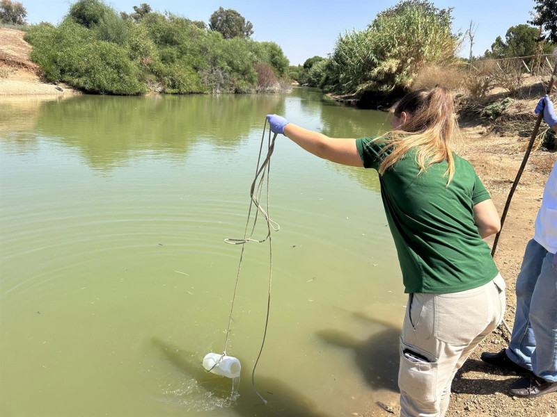 Protocolo de seguimiento en el Parque del Tamarguillo de Sevilla tras hallar gansos muertos por gripe aviar