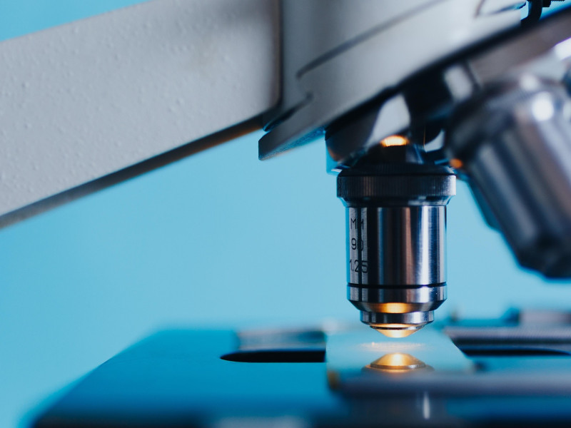 Microscopio