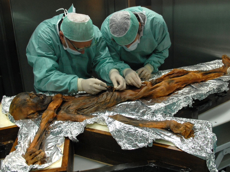 (Foto de ARCHIVO)El primer análisis en profundidad del contenido estomacal de Otzi, el cadáver momificado por el frío durante 5.300 años, hallado en 1991 en un glaciar alpino, comió por última vez alimentos ricos en grasaREMITIDA / HANDOUT por SOUTHTYROLARCHAEOLOGYMUSEUM\EURAC\M.SAMADELLI Fotografía remitida a medios de comunicación exclusivamente para ilustrar la noticia a la que hace referencia la imagen, y citando la procedencia de la imagen en la firma12/7/2018