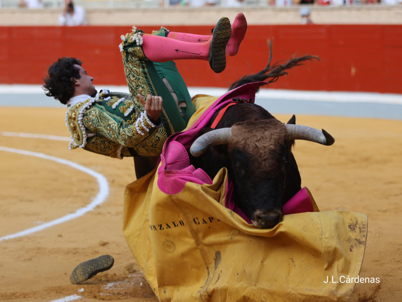 Momento de la cornada sufrida por Gonzalo Capdevila en el cuarto novillo
