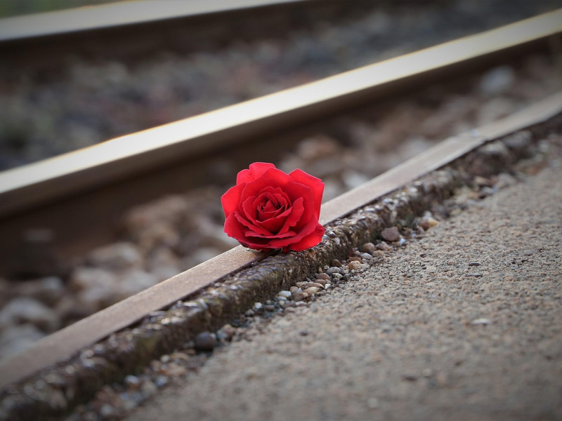 Vía de tren