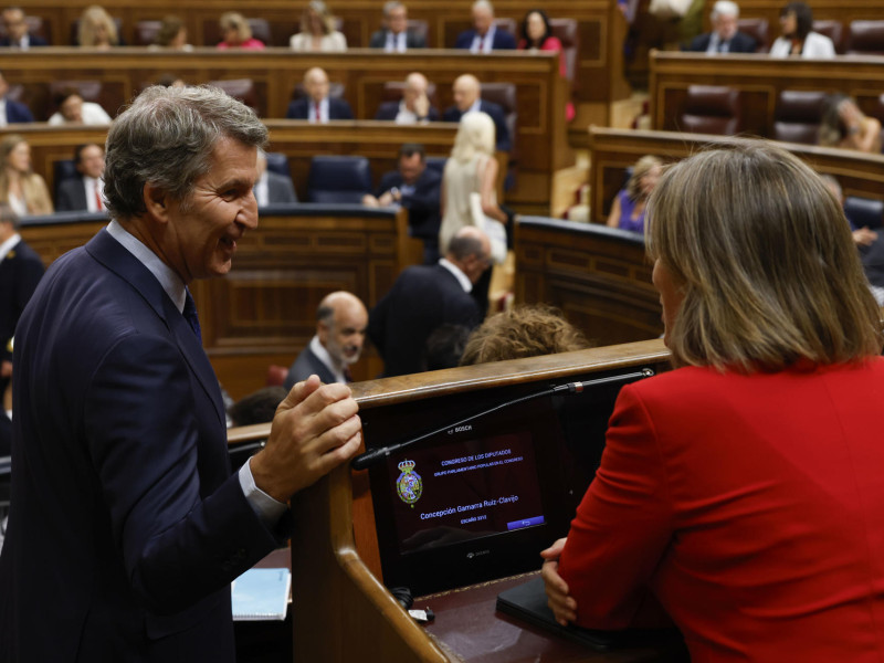 Feijóo, a su llegada al Congreso de los Diputados en Madrid para asistir a la primera sesión de control del nuevo período de sesiones