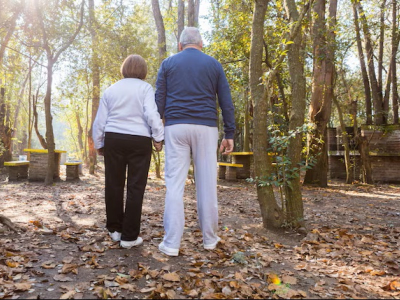 Pareja de ancianos