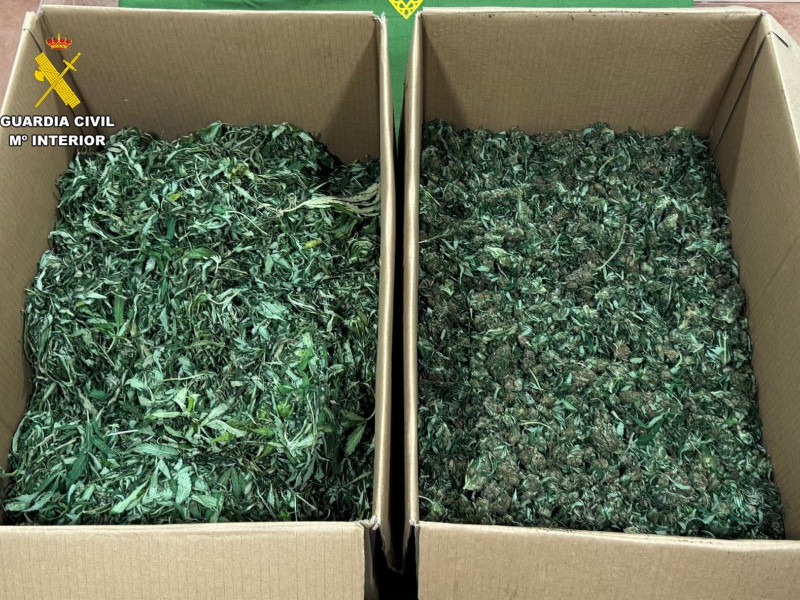 marihuana