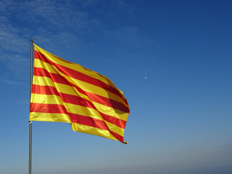 Los sectores más radicales y republicanos, que veían el homenaje a Casanova como un acto vinculado al catalanismo conservador, comenzaron a organizar sus propias concentraciones en el Fossar de les Moreres desde 1890.