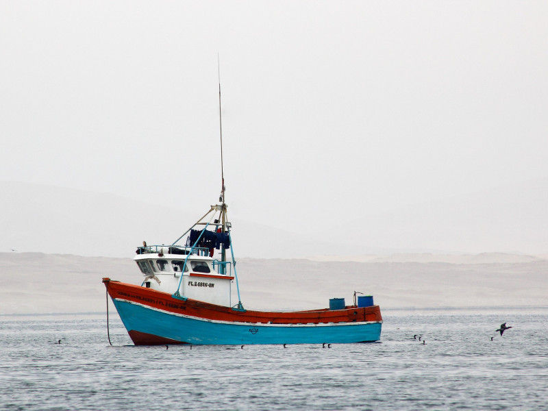El sector de la pesca está preocupado por los pocos días de trabajo concedido