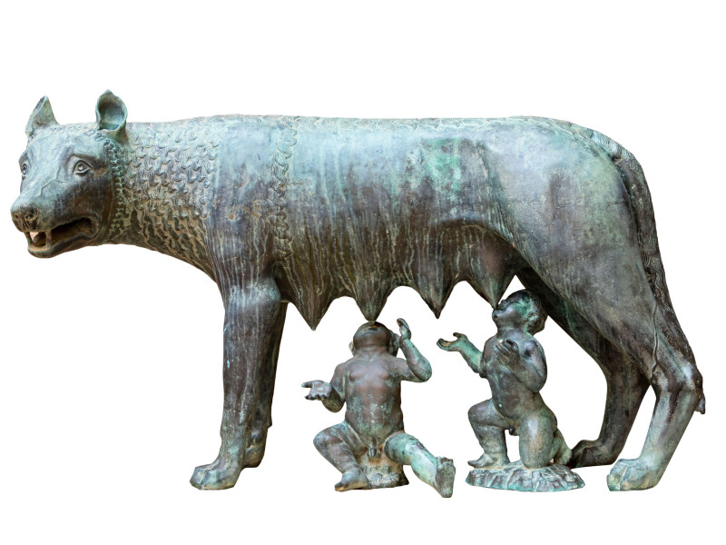 2H20J9X Luperca is the name of the she-wolf who, according to Roman mythology, suckled Romulus and Remus, founders of Rome, when King Amulius ordered them to