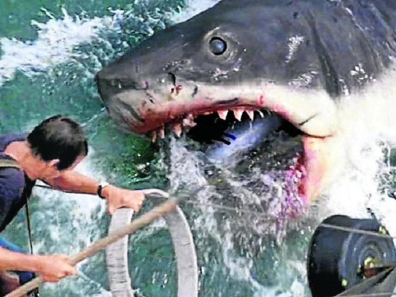 Imagen de la película 'Tiburón'