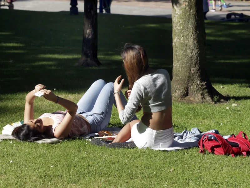 OBJ_20240116T135117T0001D_1_1