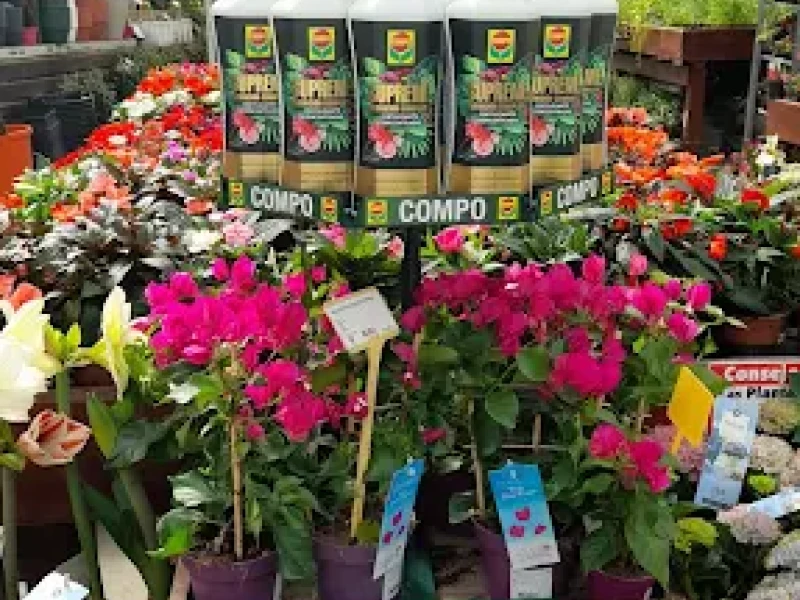 El centro ofrece una cuidada selección de todo tipo de plantas