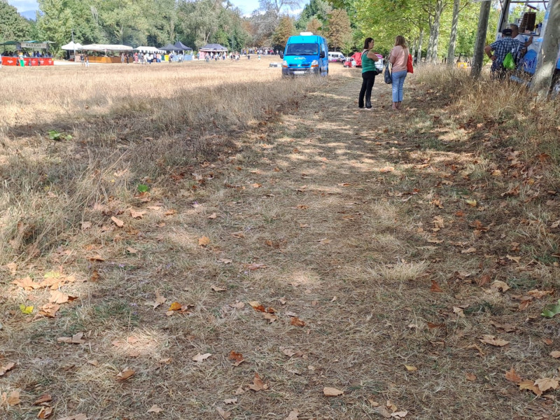 Caminos de hierba aplastada