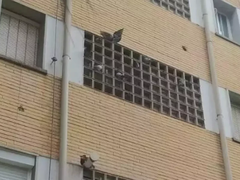 Corraleta de la barriada La Antigua