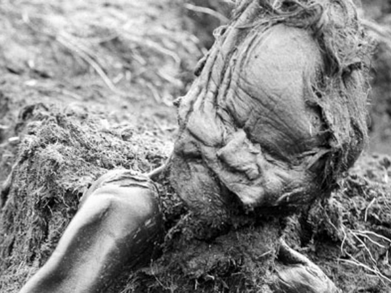 KJE19E The discovery of the Grauballe Man, a well-preserved bog body from the Iron Age, provides significant insights into ancient life and rituals in Europe, particularly in Denmark where it was found in 1952.