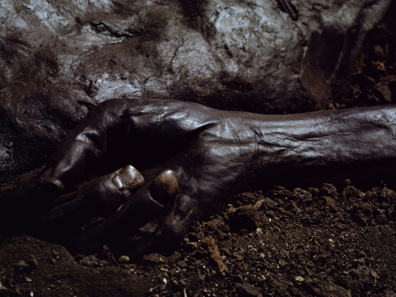 A0XTBK Hand of Grauballe Man Iron Age bog mummy Aarhus Denmark Scandinavia Europe