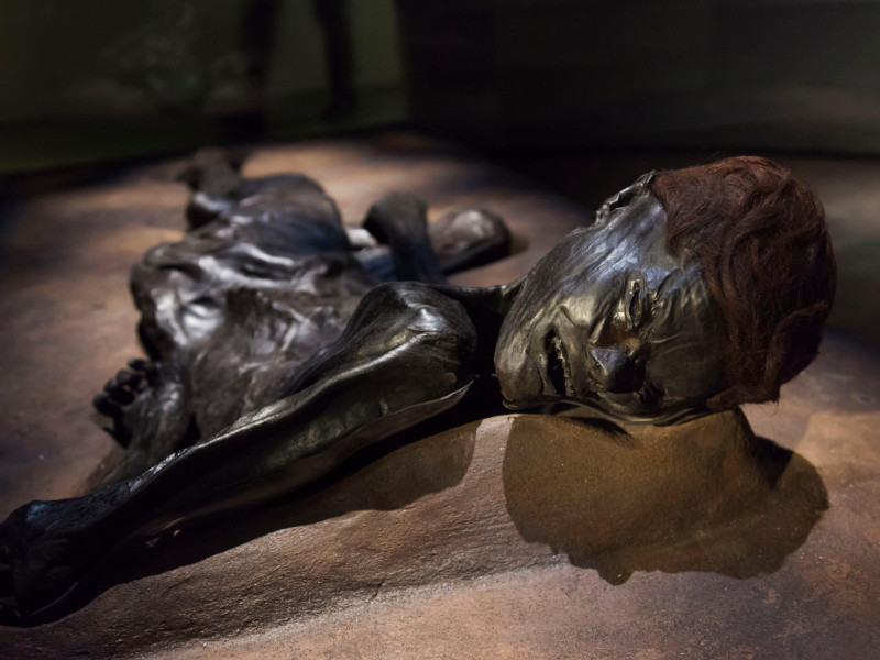 HW5X59 Denmark, Jutland, Aarhus-Hojbjerg, Moesgard Museum, Grauballe Man, preserved remains of human from 1st century BC