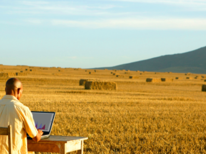 Teletrabajo al aire libre