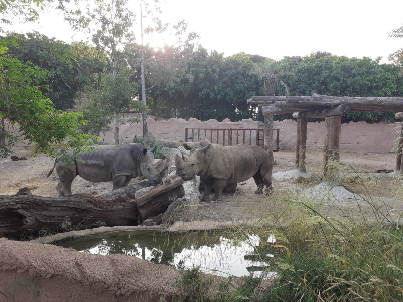 Chiqui en Terra NATURA Murcia