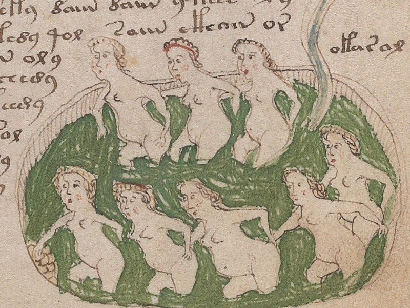 J4X1H1 The Voynich manuscript, specifically the part of folio 78r, is one of the most mysterious and undeciphered texts. It is an illustrated manuscript filled with unknown symbols and drawings, remaining a subject of extensive research and intrigue.