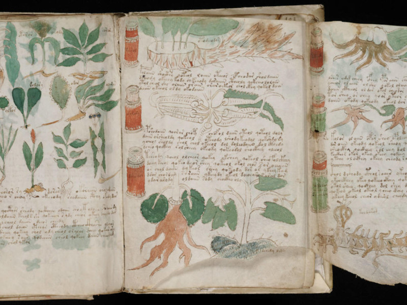 PBJ4BB 1824 Voynich Manuscript (180)