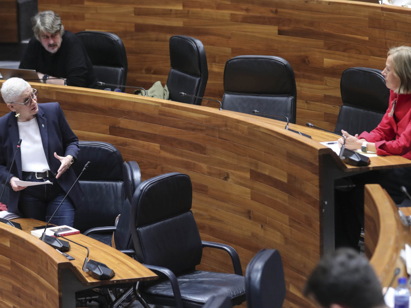 Concepción Saavedra y Pilar Fernández Pardo, en la Junta General