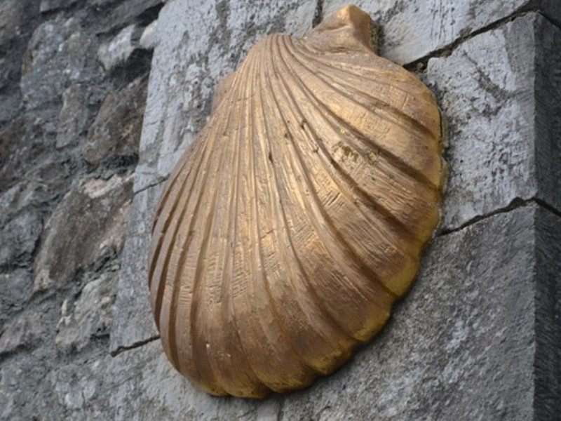 La concha que marca el camino