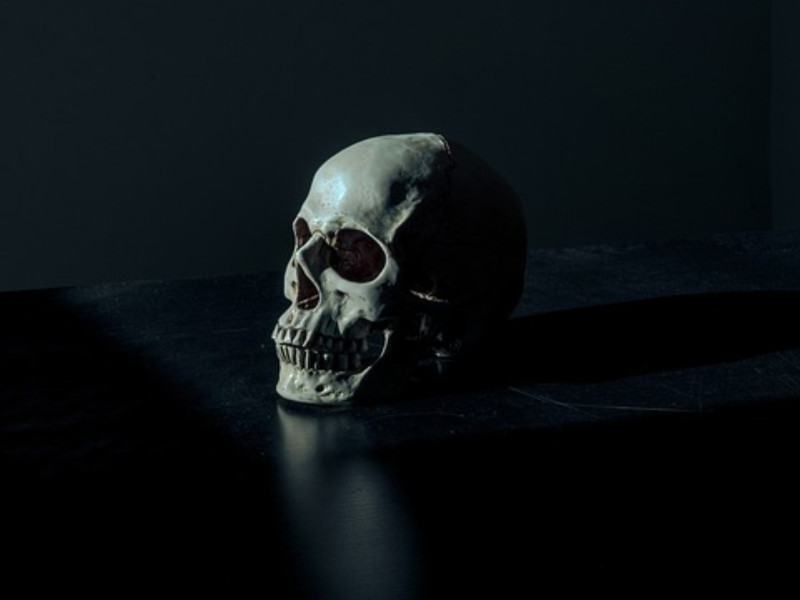 Muertes absurdas