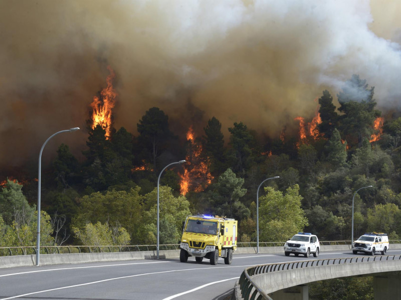 Incendio la tarde pasada en O Bolo