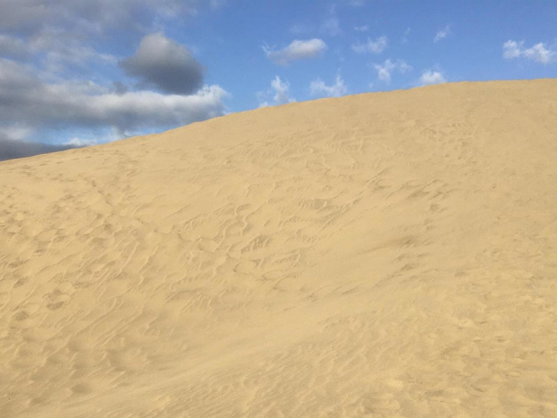 Dunas de Maspalomas