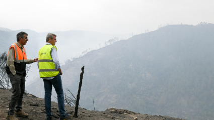 El presidente de la Xunta de Galicia visita las zonas afectadas por el fuego