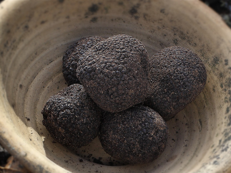 Trufa negra de Rubielos de Mora.
