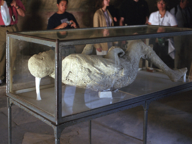 AJM544 A plaster cast of the remains of a citizen of Pompeii in his final moments before he was engulfed in volcanic ash. Image shot 2002. Exact date unknown.