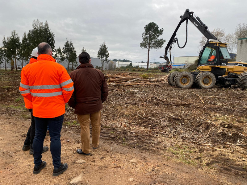 Curso de procesadores de madera en Lugo
