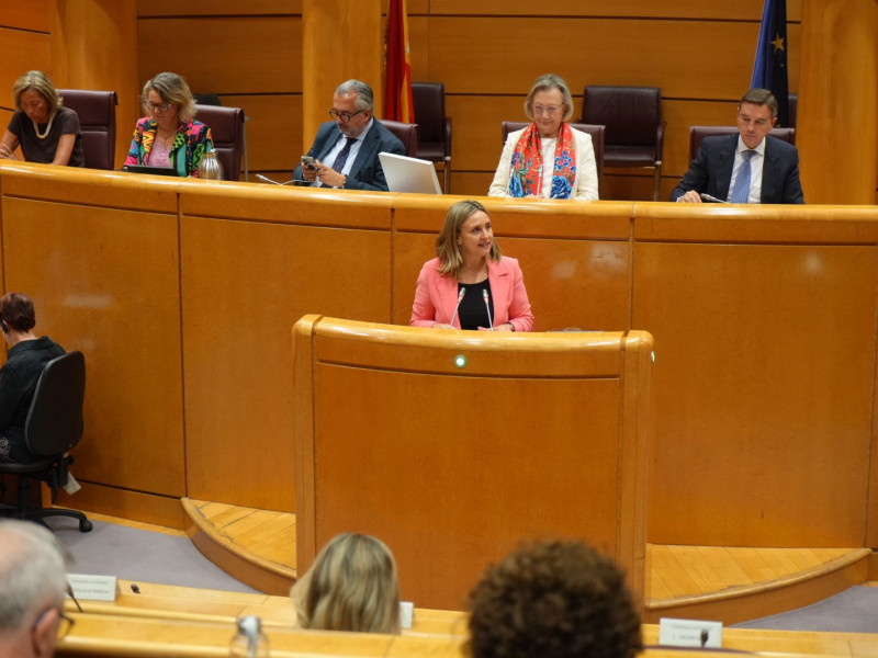 Comparecencia de Conchita Ruiz en el Senado